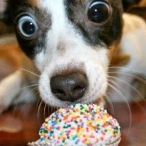 Meet your Posher, Adriana